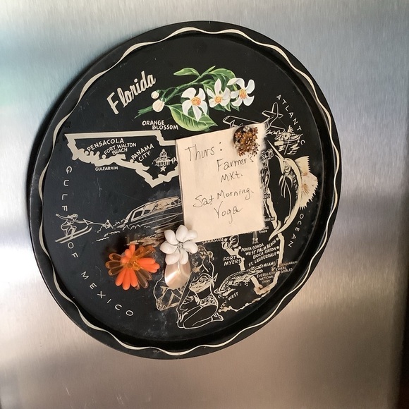 Restyled Repurposed Vintage Florida Souvenir Magnetic Tray & 3 Magnets 1950’s - Picture 1 of 12